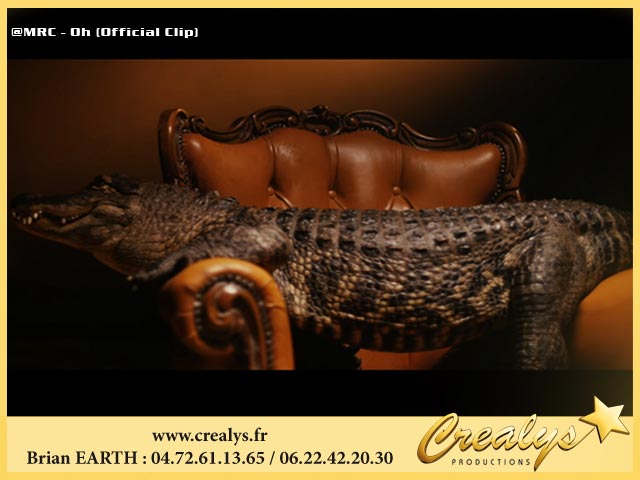 Photo crocodiles2