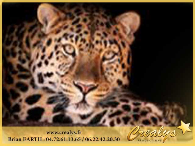 Photo leopards4